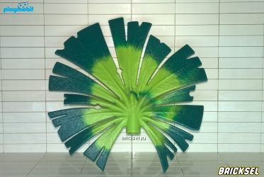 Листья экзотической пальмы светло-зеленые с темно-зелеными кончиками