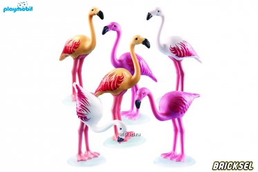 Набор Playmobil 6651pm: Зоопарк Стая фламинго