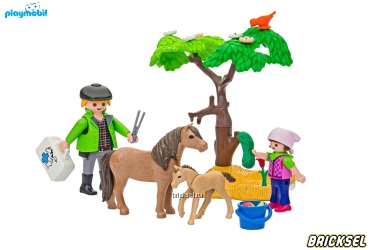 Набор Playmobil 6949pm: Ветеринар с пони и жеребенком