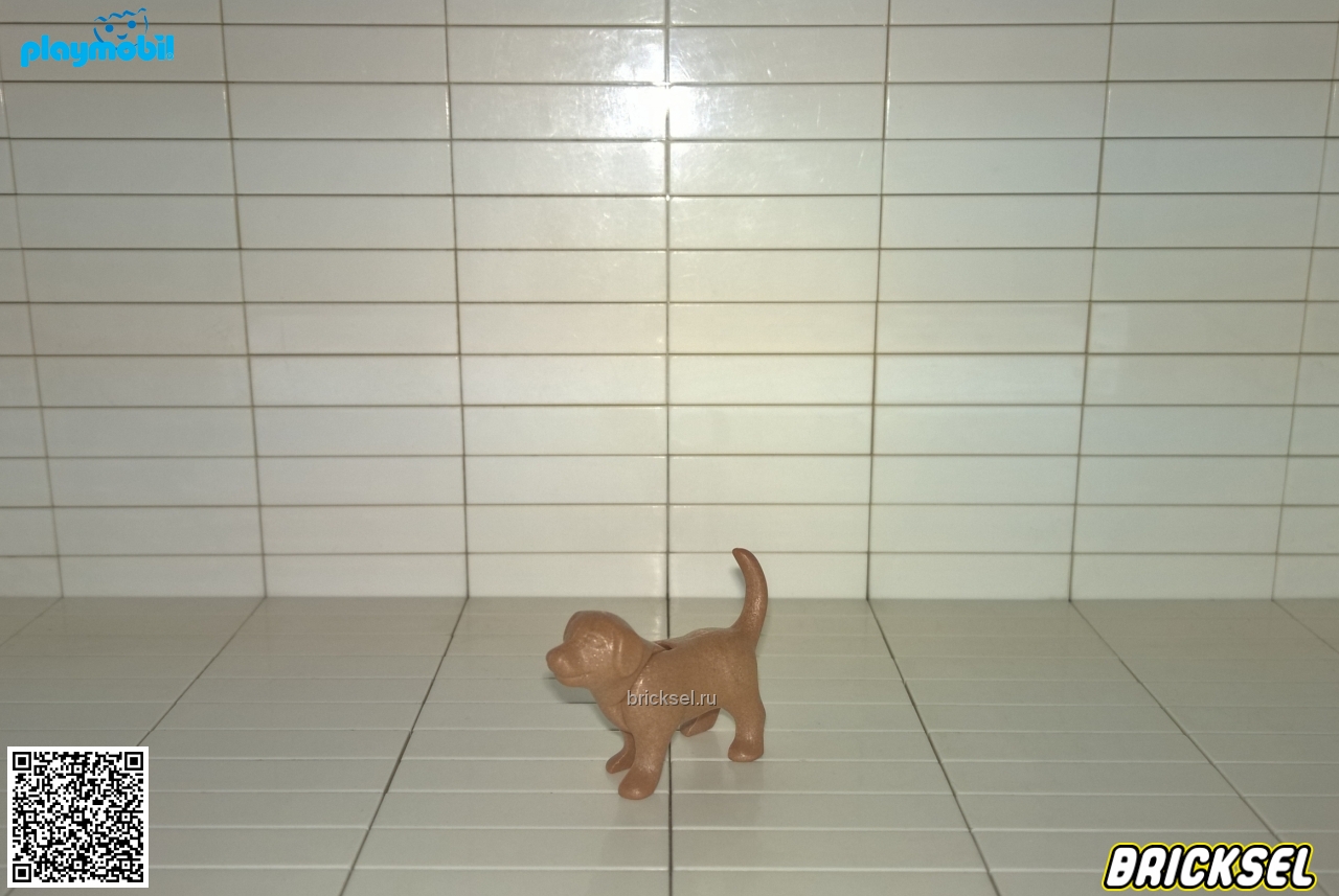 Плеймобил Собака темно-бежевая, стоит, Playmobil