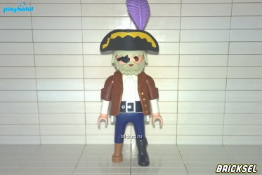 Старый одноногий пират в коричневом камзоле и шляпе с фиолетовым пером