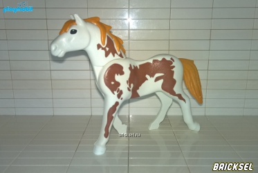 Лошадь племенная белая с коричневыми пятнами и темно-желтой гривой