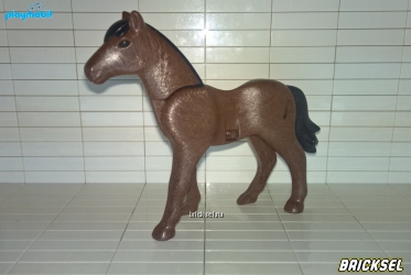 Конь коричневый с черной гривой и хвостом