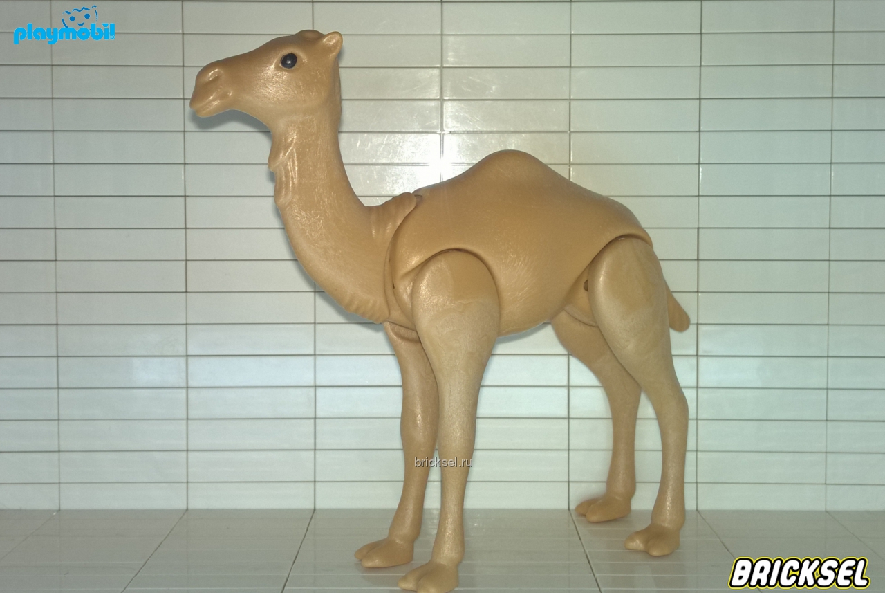 Плеймобил Одногорбый верблюд бежевый, Playmobil