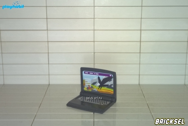 Ноутбук темный металлик с орлом на экране