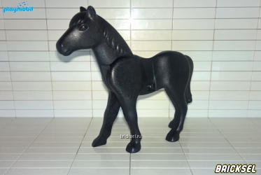 Конь черный