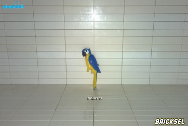 Попугай желто-синий