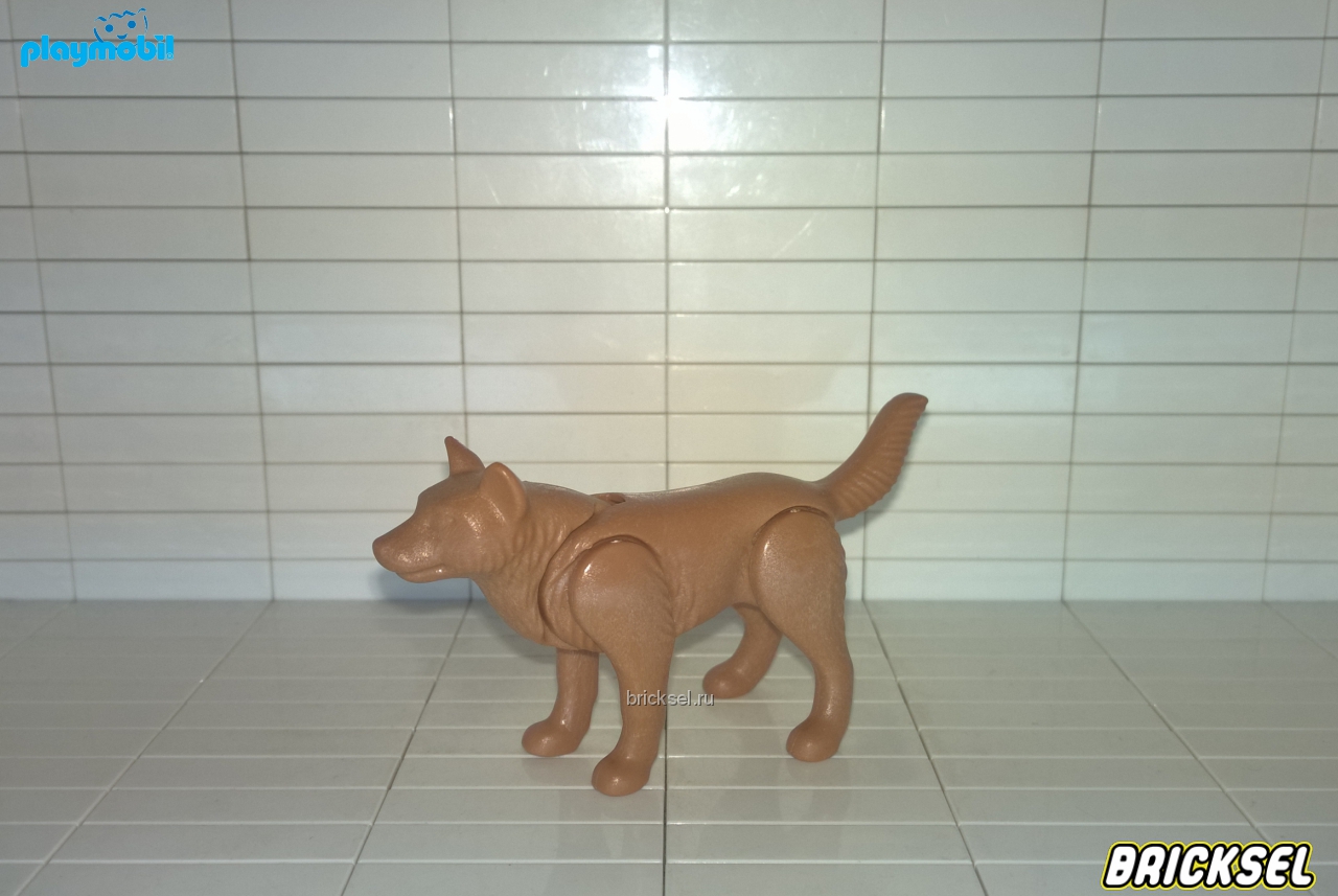 Плеймобил Светло-коричневая собака, волк пещерных людей, Playmobil