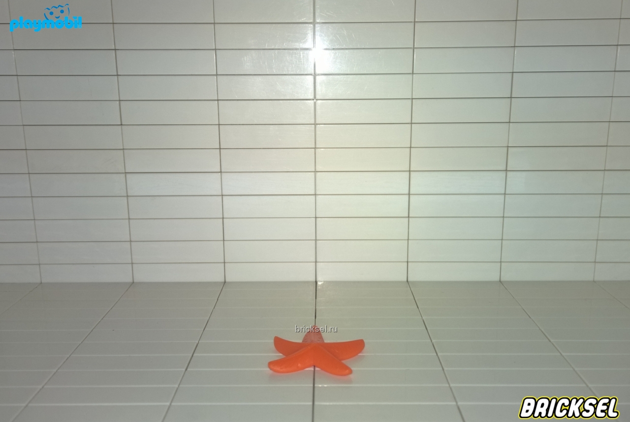 Плеймобил Морская звезда оранжевая, Playmobil
