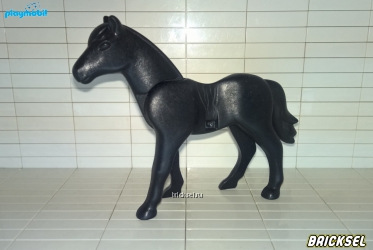 Лошадь черная