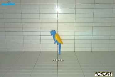 Попугай с желтыми крыльями голубой