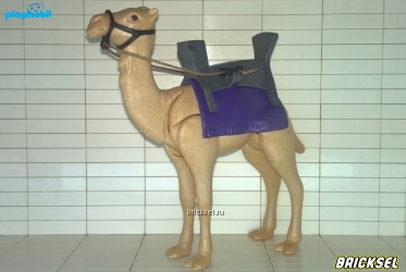 Боевой верблюд египетского воина со сбруей и седлом